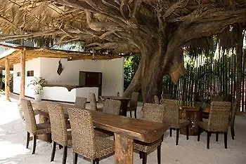 Augerine Guest House Beau Vallon  2*, Beau Vallon (Mahe) Seychelles